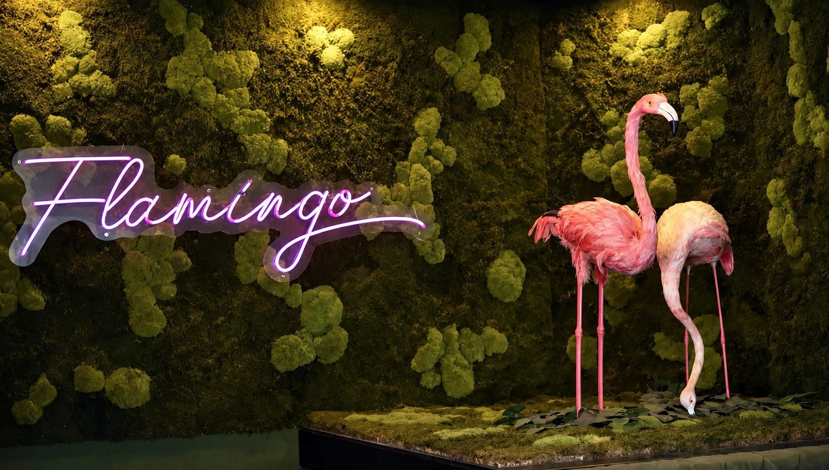 Ambiente 5